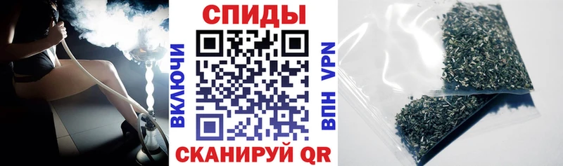 даркнет телеграм  Горбатов  БУТИРАТ буратино 